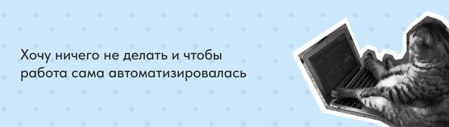 Единая клиентская база, автоматизация продаж, анализ эффективности бизнеса, CRM, CRM-система