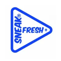 Sneaknfresh - крупнейшая сеть химчисток обуви в России
